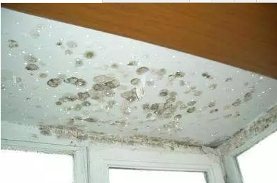 �҃�(n��i)�Y(ji��)¶�l(f��)ù