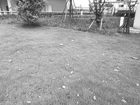 �≦���ز���Ó��