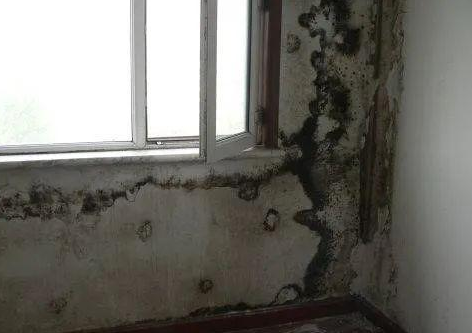 �ЙC(j��)���ز��Ϻ͟o�C(j��)���ز����״�����Щ�|(zh��)�����}��